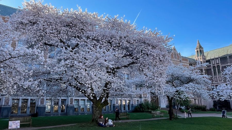 sunny spring weather...