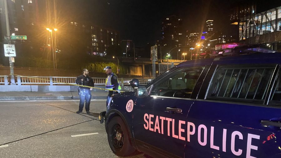 Photo: Seattle detectives are looking for a vehicle involved in a deadly hit-and-run that happened ...
