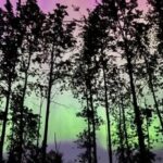 Image: The northern lights can be seen around Western Washington on Friday, May 10, 2024.