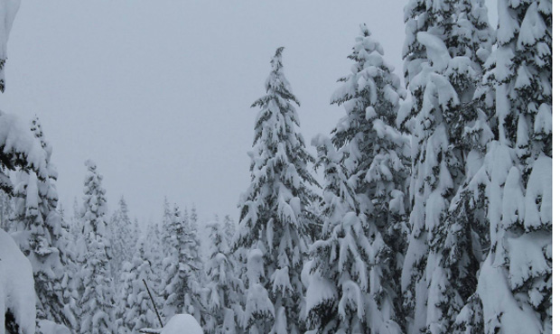snowpack, levels...